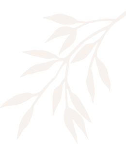 Kerala Ayurvedic Massage decorative leaves